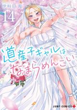 Dosanko Gyaru wa Namara Menkoi