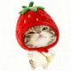 Strawberry matcha28