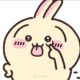Usagi