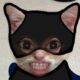 User12203872