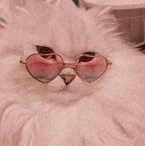 pussymeow